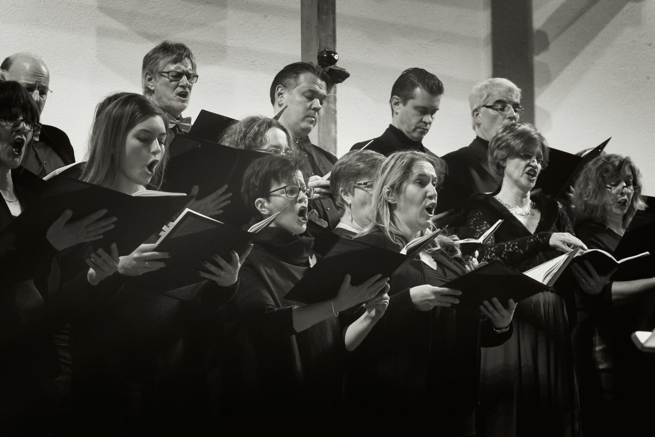 Webdesign molto vocalis