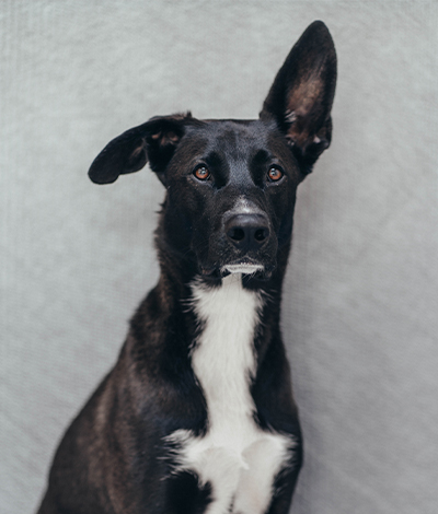 SCH_Shooting_Mitarbeiter_DSC02416-2_2023-07-10